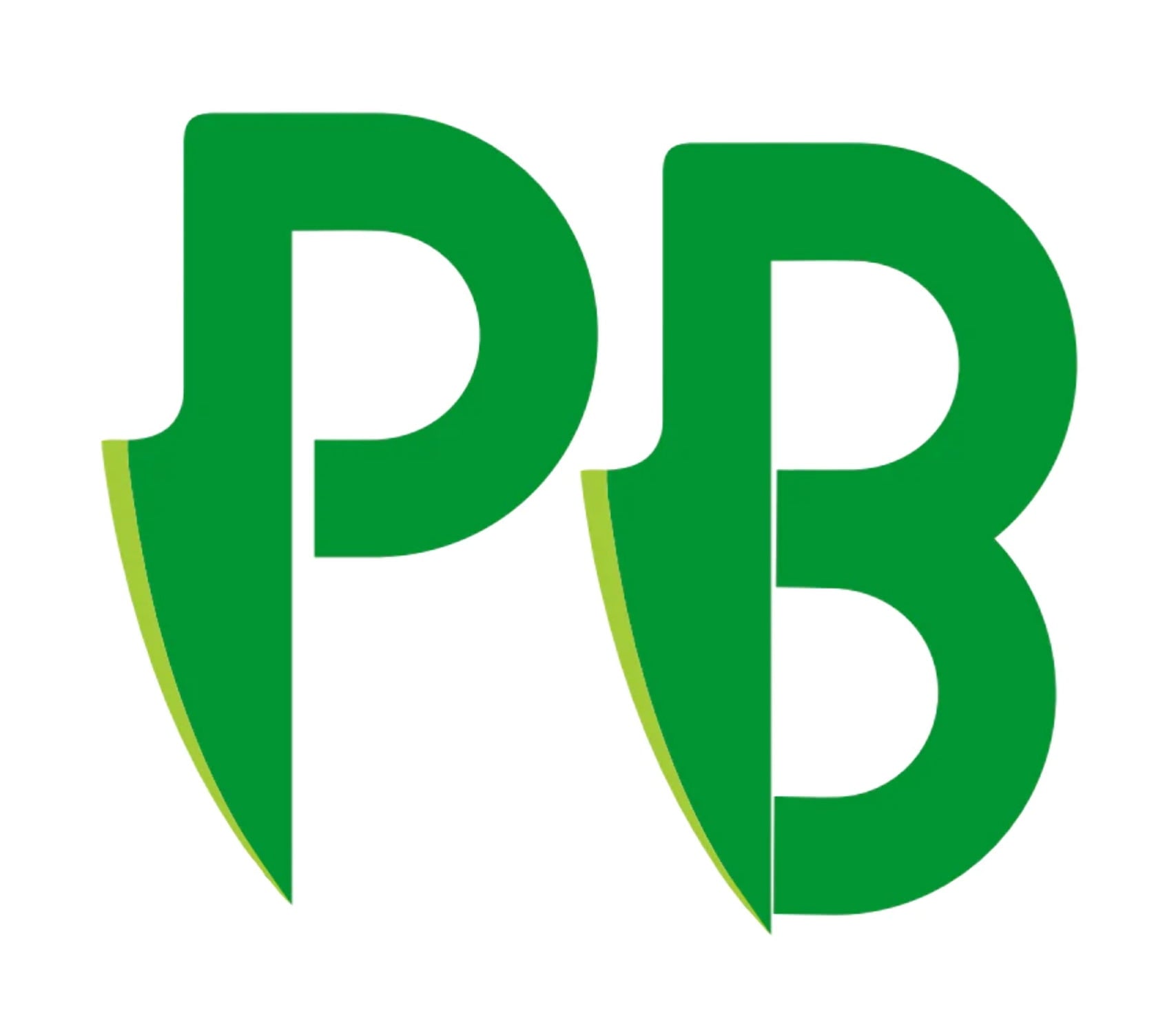 Shelter S103 Pro Boxing Gloves and Pro Head Gears - Set of 2